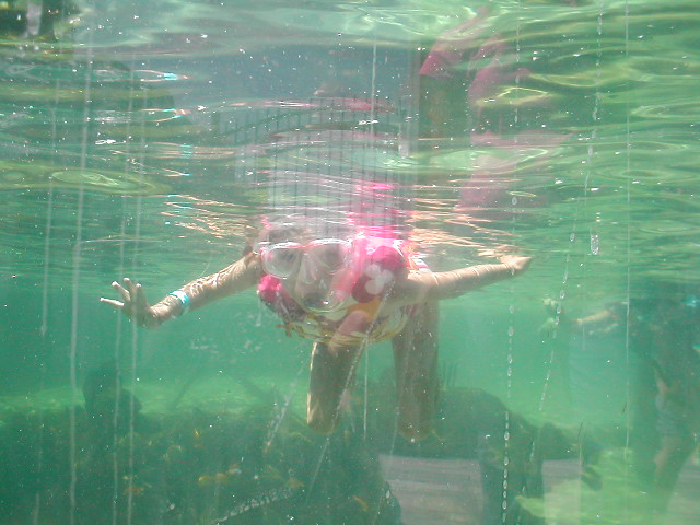 P8220012[1].JPG - OLYMPUS DIGITAL CAMERA         